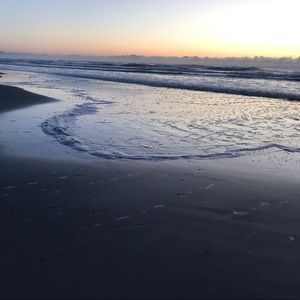 Meet your Posher, Cassandra